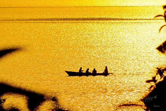 Golden Evening at Lake Phewa
