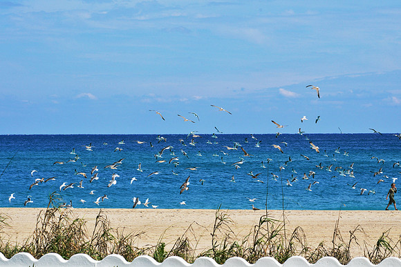 West Palm Beach