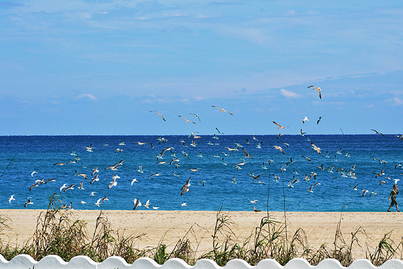West Palm Beach