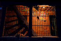 As night unfolds