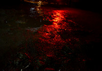 As night unfolds